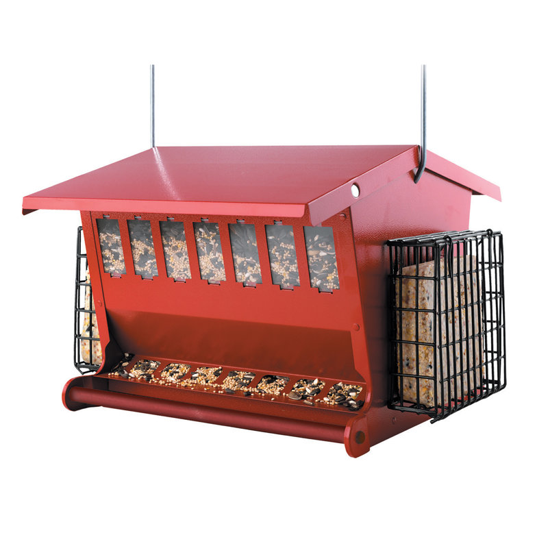 HF Red Seeds N More Hopper Bird Feeder with Suet Holder Wayfair